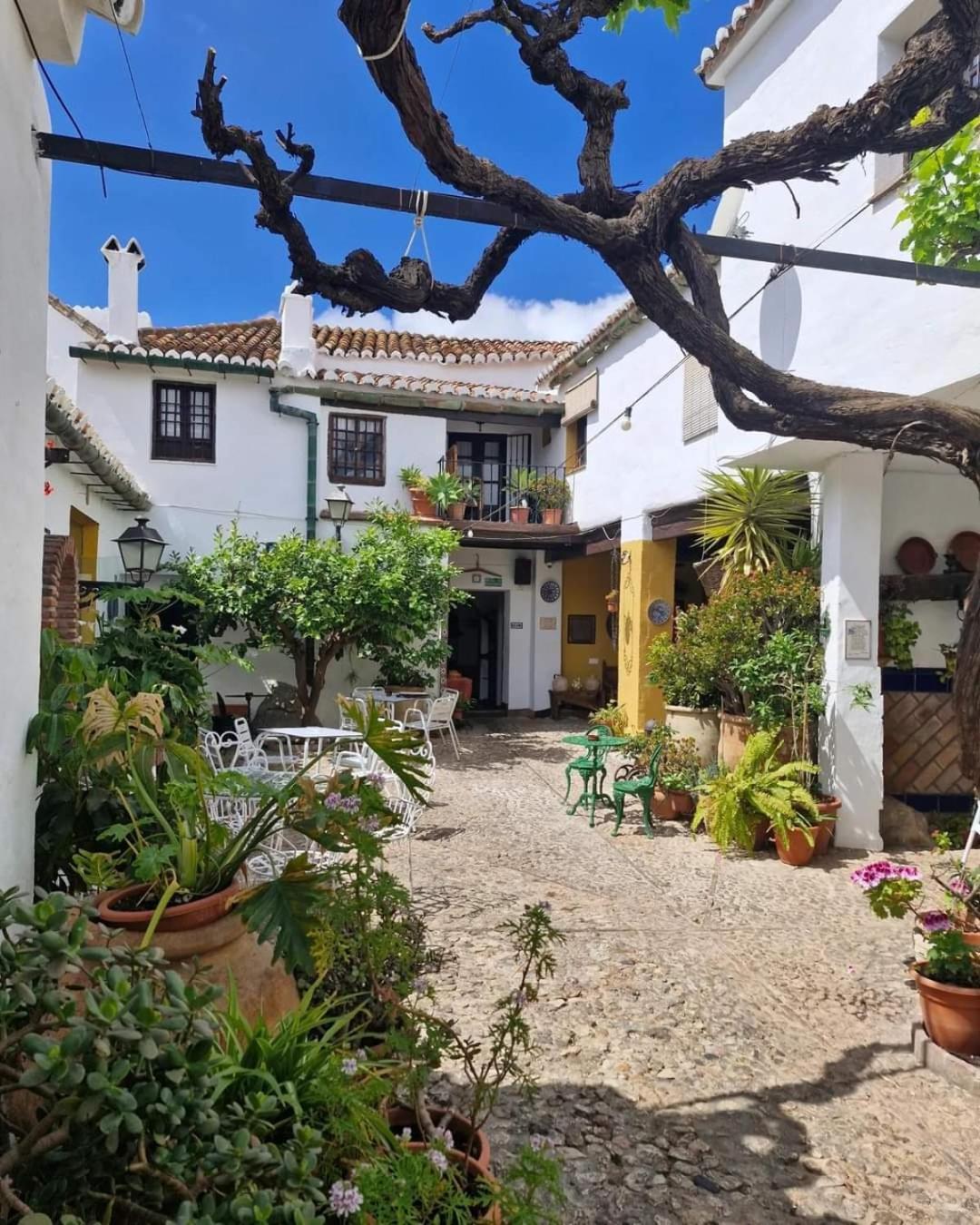 Rural Oliva Comares